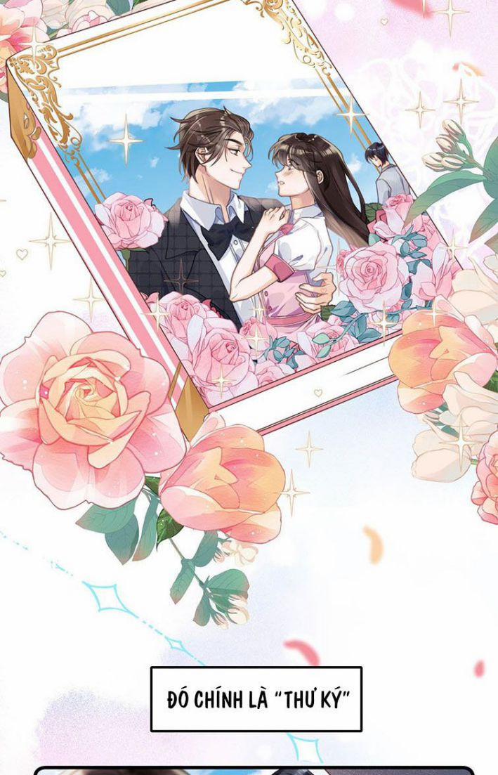 Xuyên Thành Bí Thư Khổ Bức Trong Truyện Bá Tổng 1 trang 3