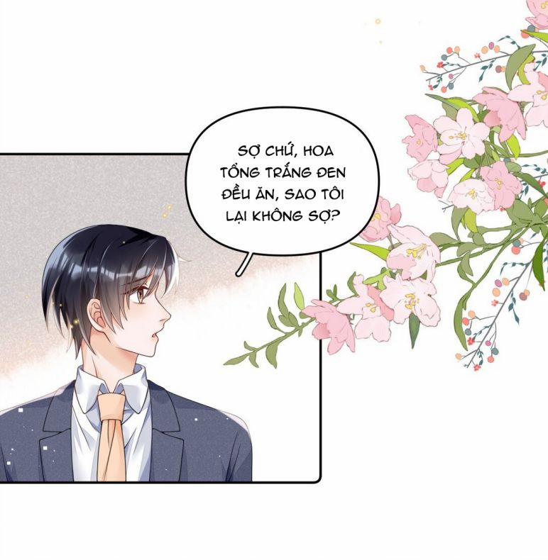 Xuyên Thành Bí Thư Khổ Bức Trong Truyện Bá Tổng 13 trang 25