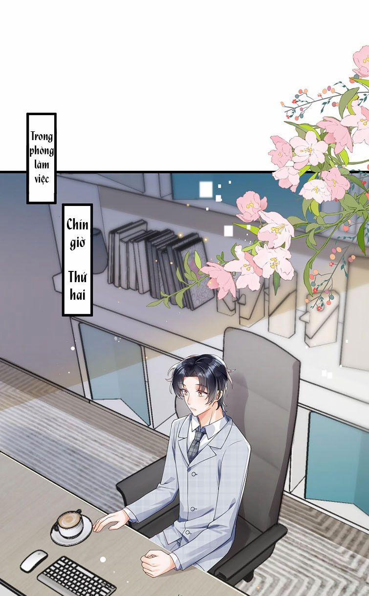 Xuyên Thành Bí Thư Khổ Bức Trong Truyện Bá Tổng 3 trang 2