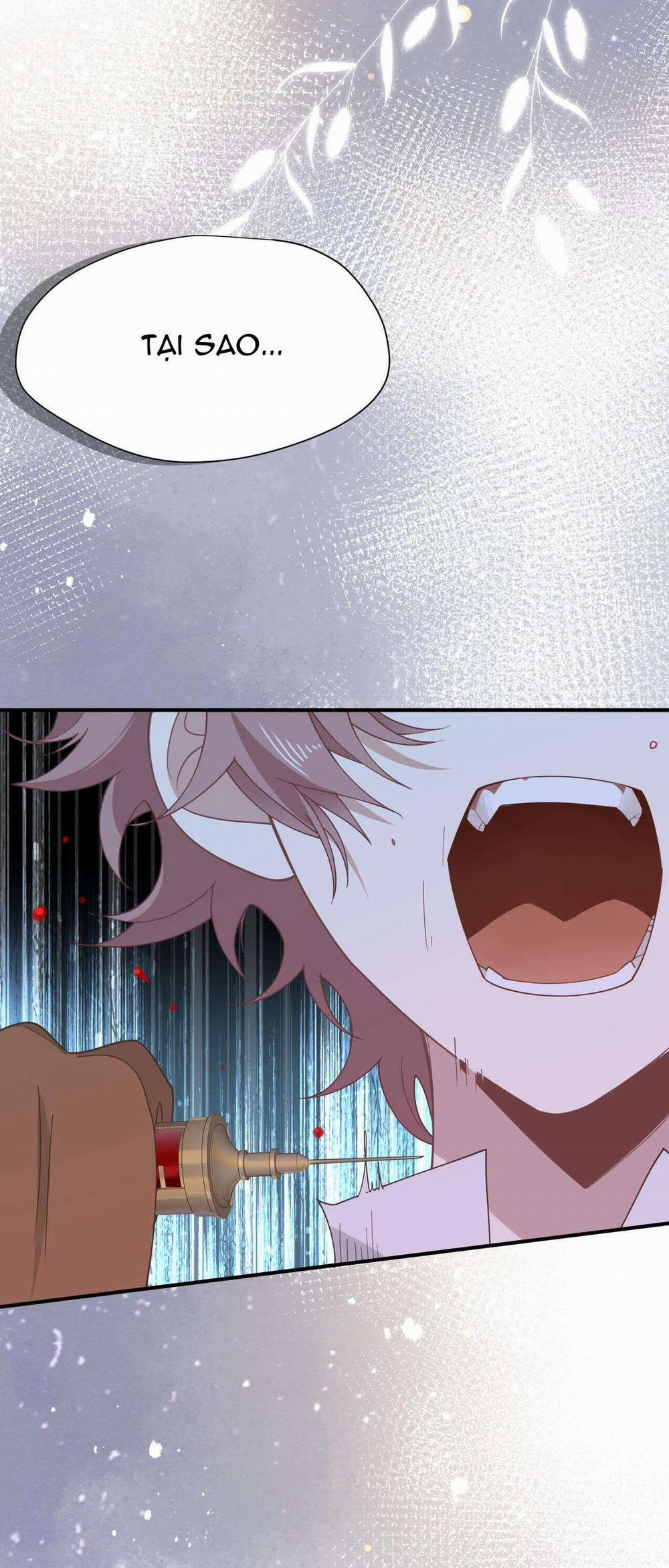 Xuyên Thành Phù Thủy Nuôi Dưỡng Kỵ Sĩ Thánh Điện 38 trang 5