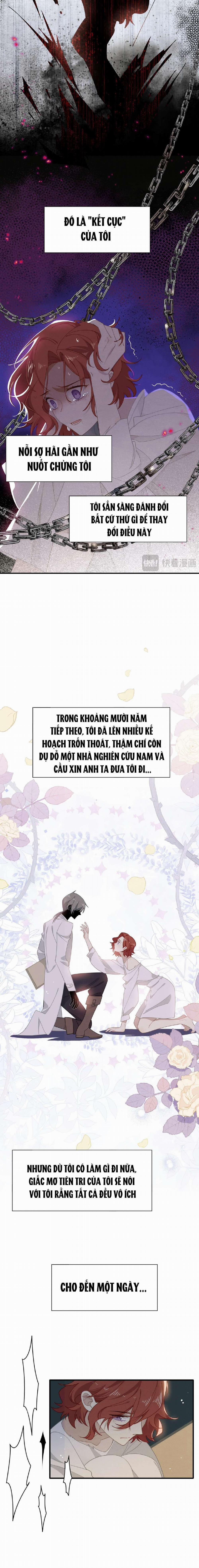 Xuyên Thành Phù Thủy Nuôi Dưỡng Kỵ Sĩ Thánh Điện 41 trang 8