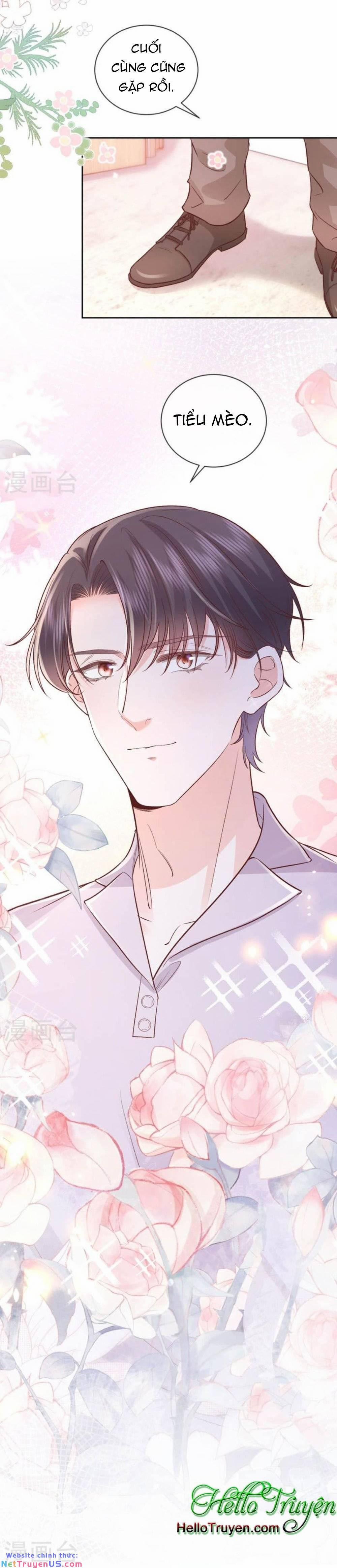 Xuyên Vào Tiểu Thuyết Chinh Phục Tổng Tài 39 trang 17