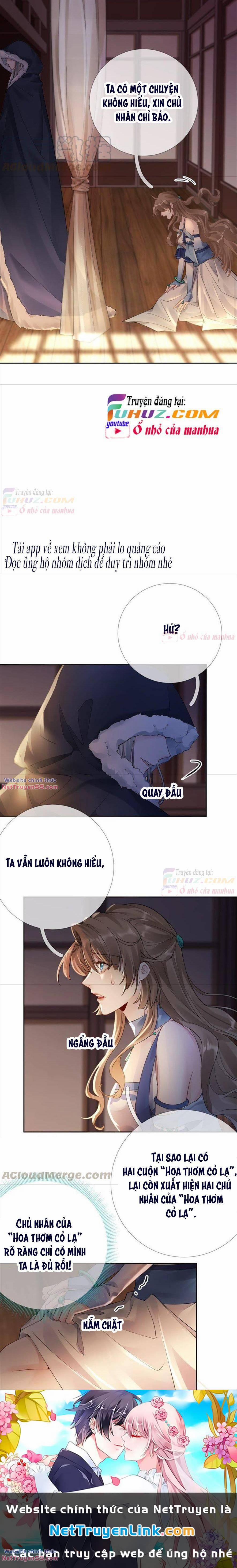 Xuyên Về Cổ Đại Làm Nữ Phụ Vô Dụng 71 trang 11