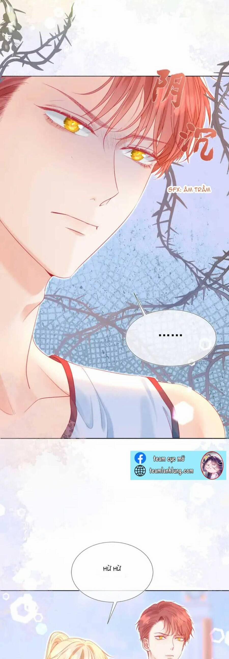 Xuyên Về Thời Học Sinh Truy Lão Công 4 trang 11