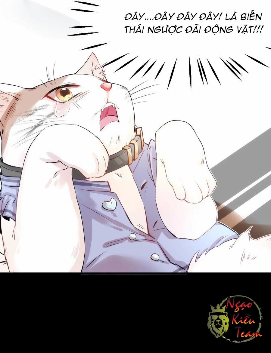 Xuỵt! Mới Không Phải Mối Quan Hệ Thuần Dưỡng 12 trang 14