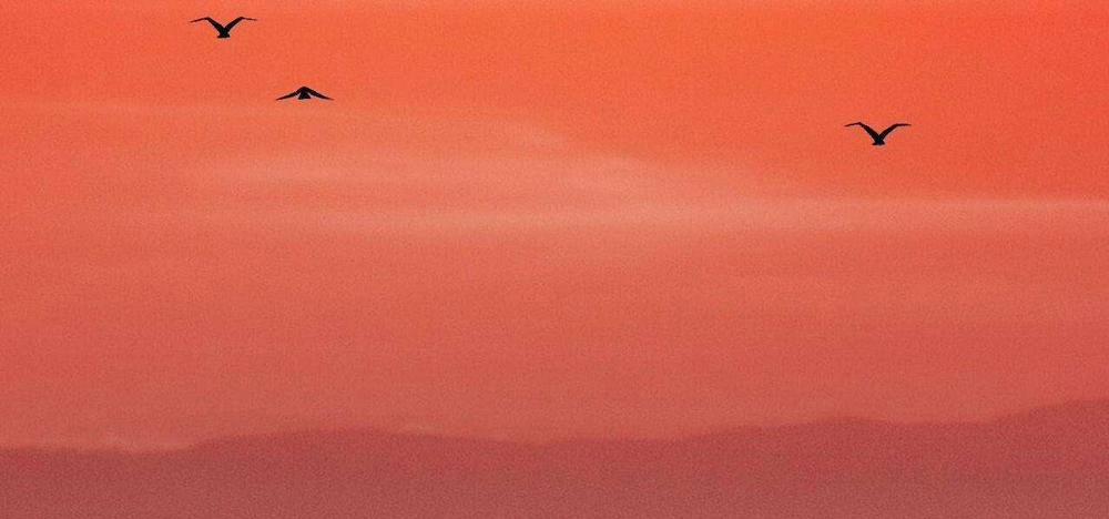 Xx Cặn Bã 37 trang 22