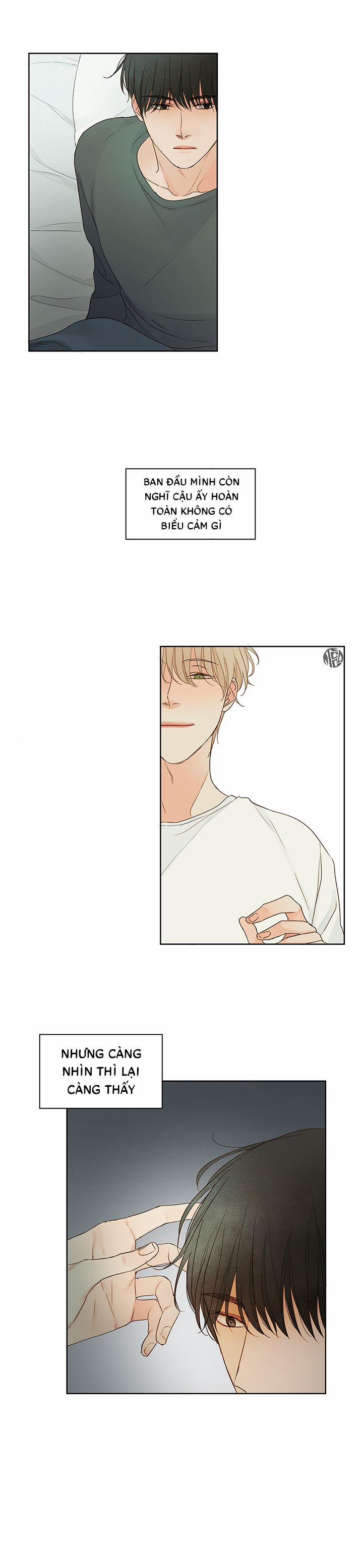 Ý Nghĩa Của Ánh Nhìn 1 trang 20