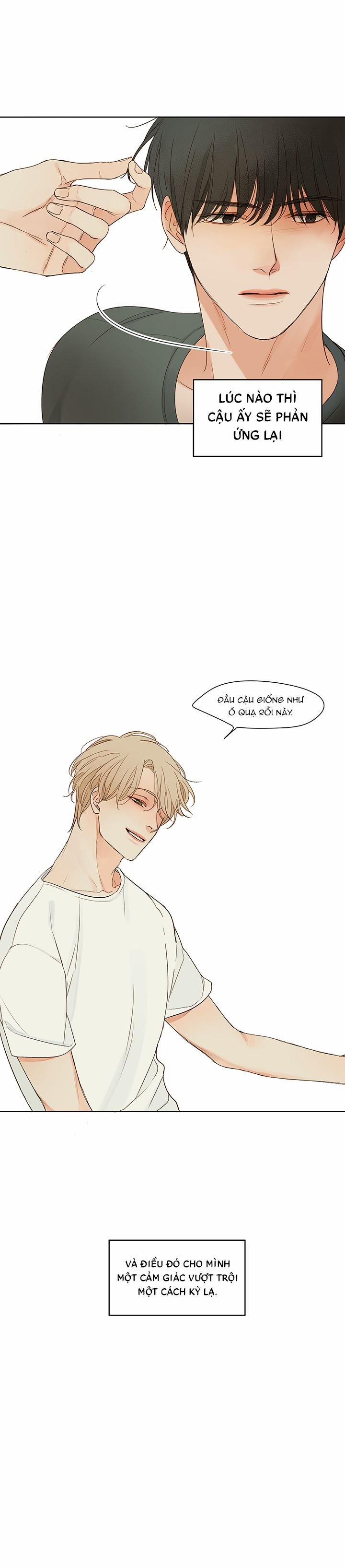 Ý Nghĩa Của Ánh Nhìn 1 trang 21