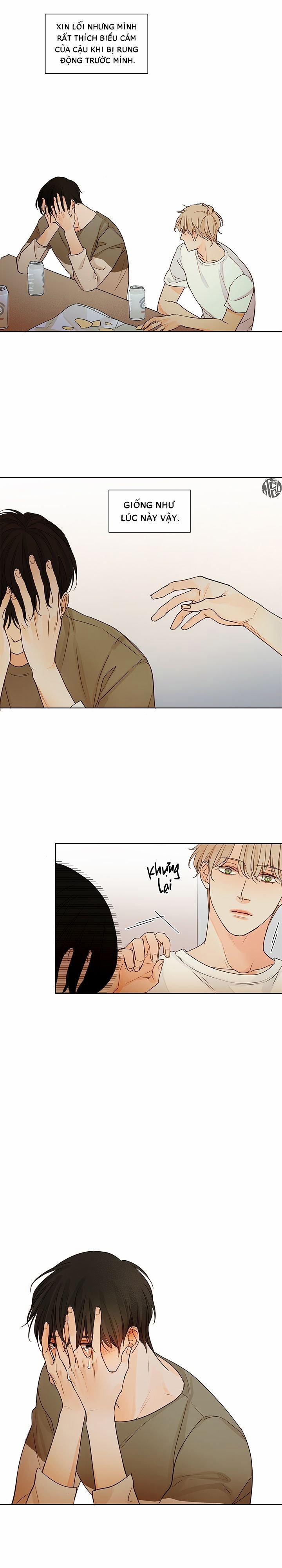 Ý Nghĩa Của Ánh Nhìn 5 trang 6