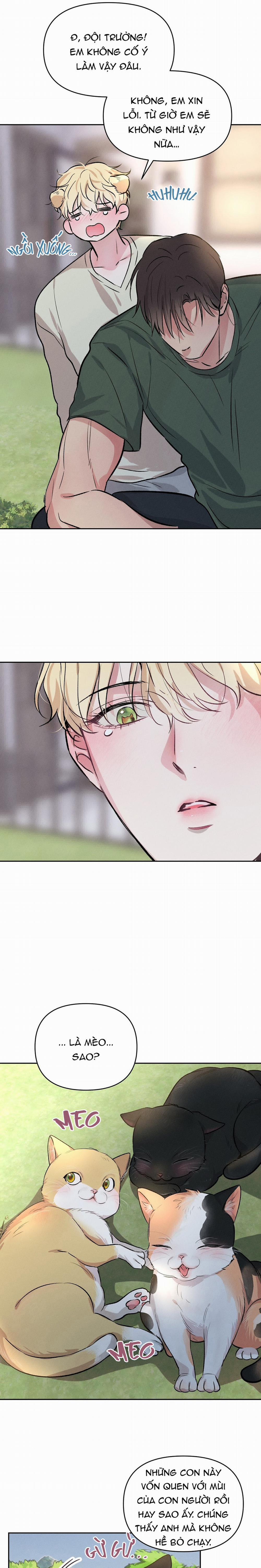 Yêu Anh, Chàng Đại Úy 67 trang 13