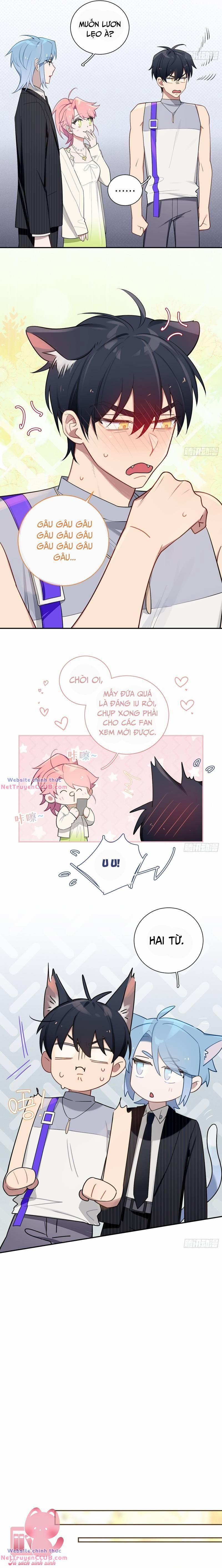 Yêu Đương Không Bằng Thả Thính Idol 33 trang 4