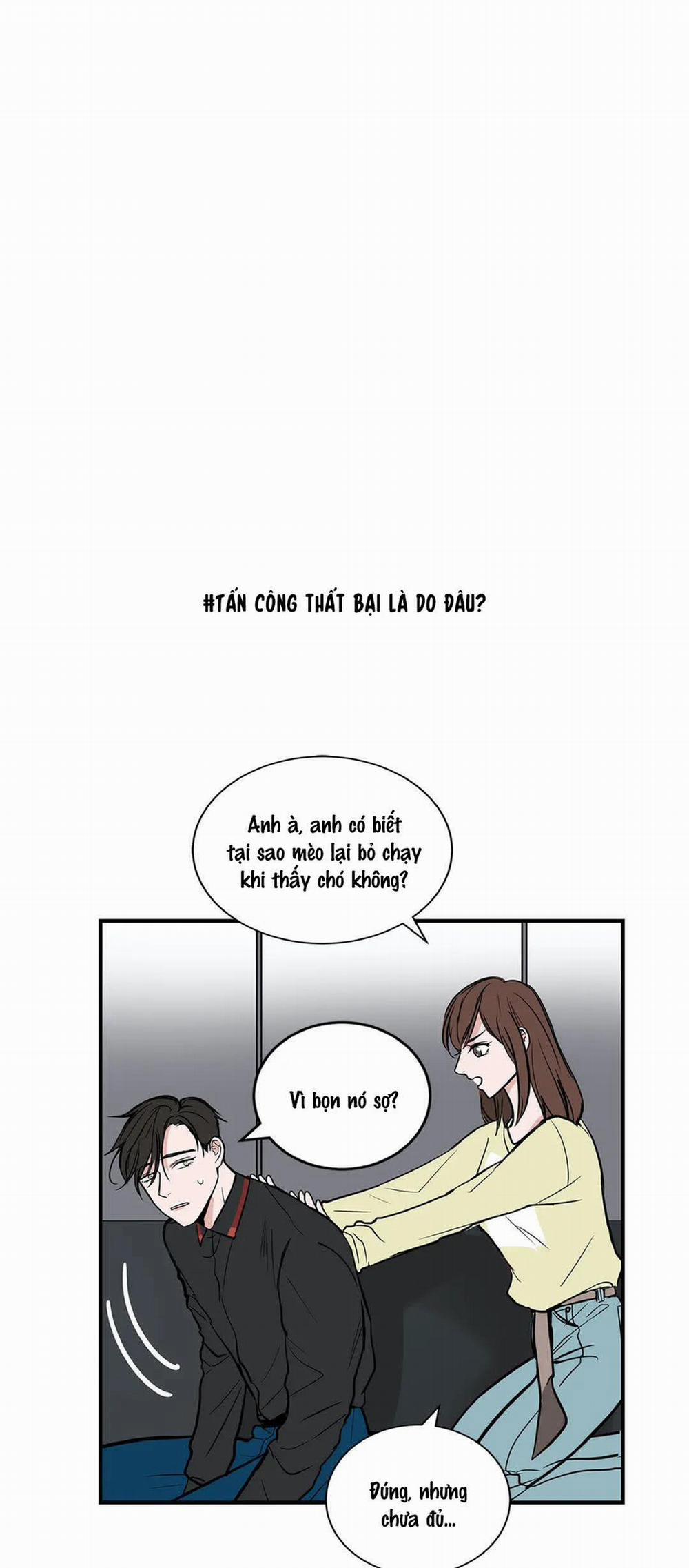 Yêu Đương Như Chó Với Mèo 4 trang 12