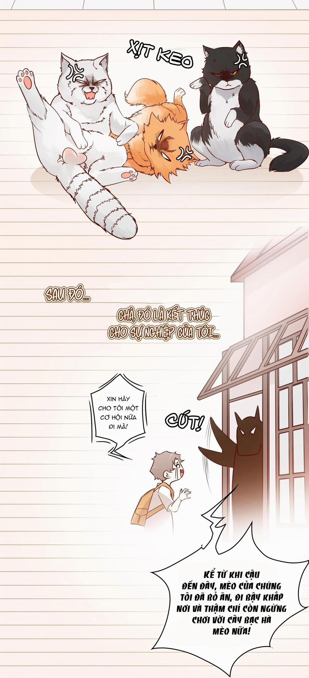 Yêu Em Bất Chấp 1 trang 10