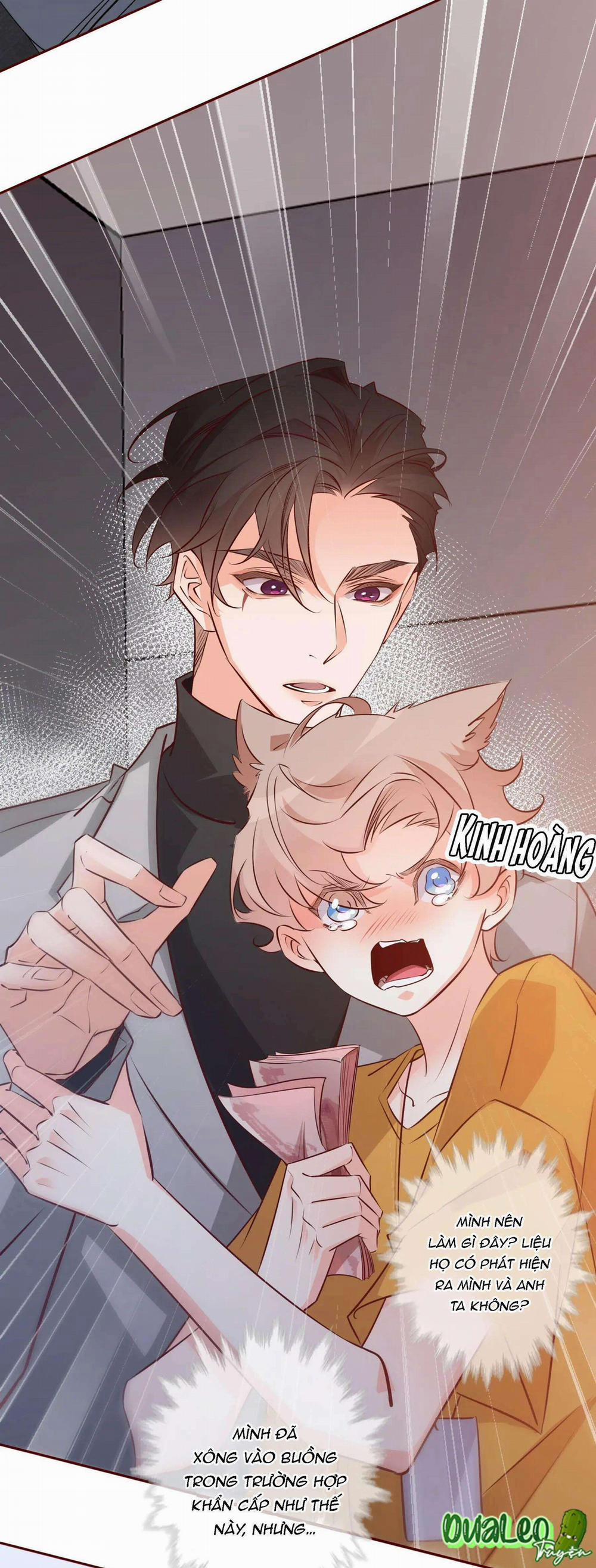 Yêu Em Bất Chấp 7 trang 11