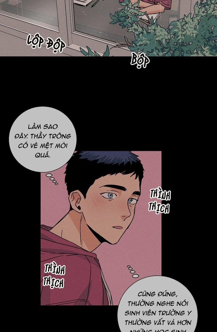 Yêu Em Đi, Bác Sĩ! 38 trang 28