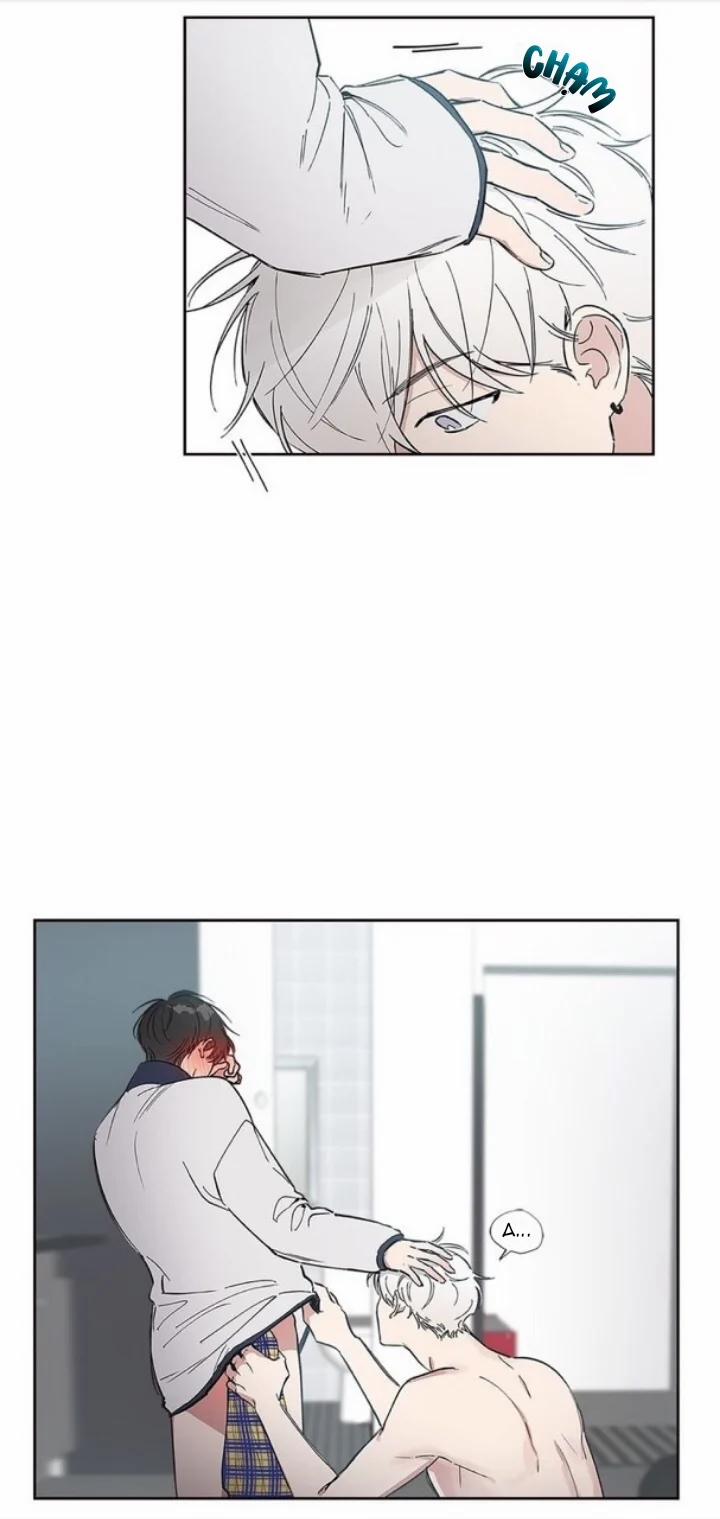 Yêu Lầm Người 31 trang 3