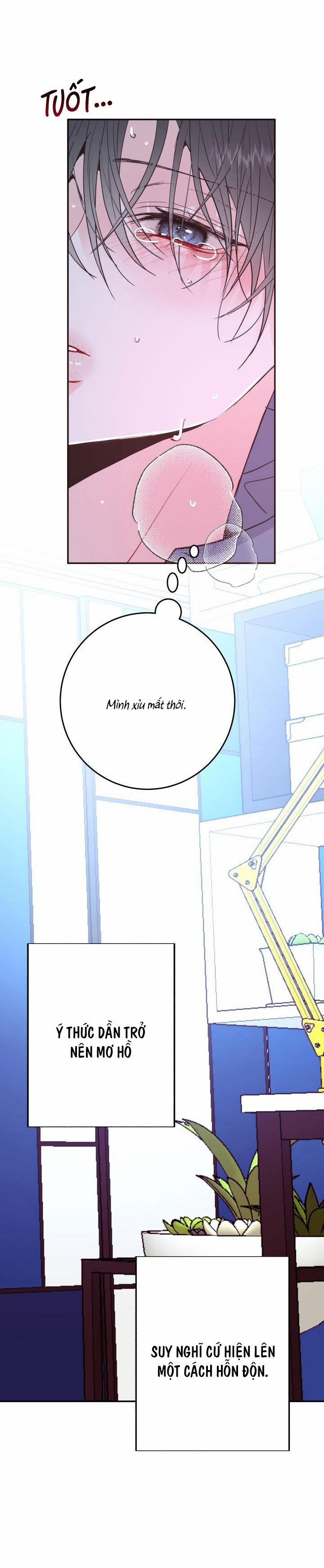 YÊU THÊM LẦN NỮA (LOVE ME AGAIN) 5 trang 14