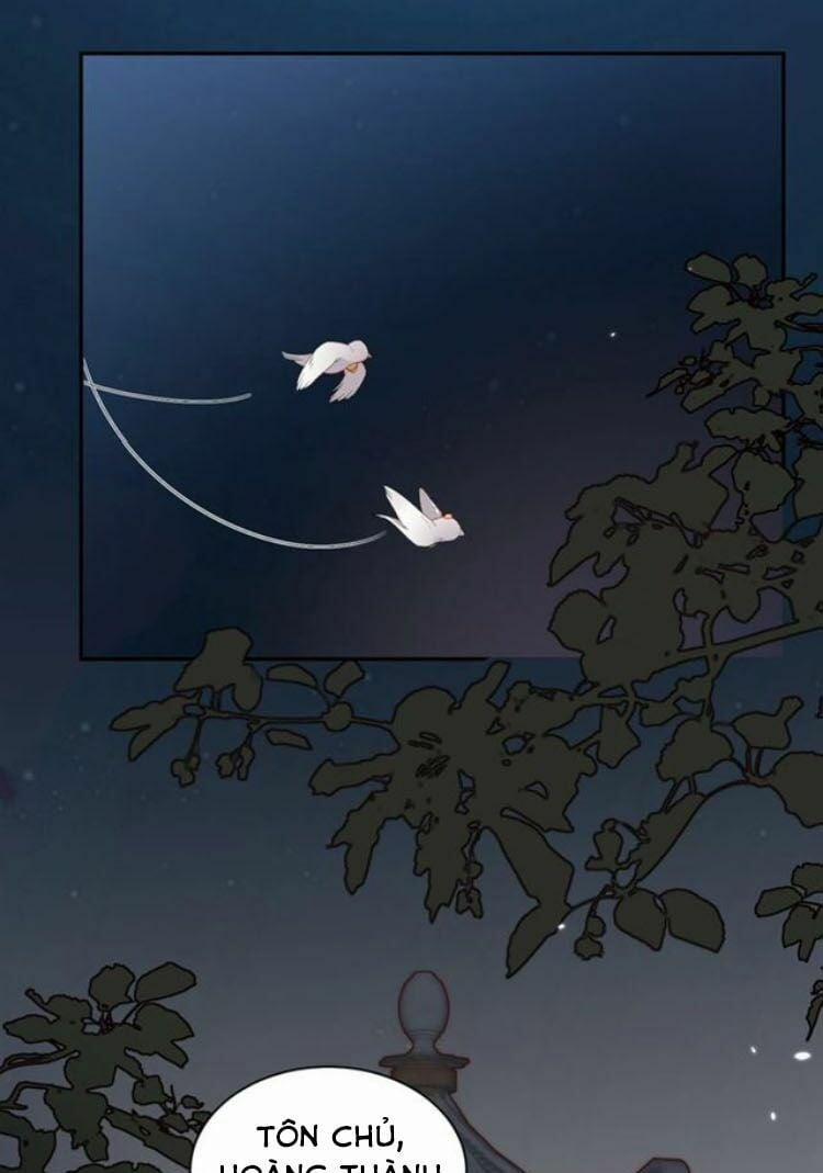 Yêu Tôn Nhất Định Phải Chịu Trách Nhiệm Với Ta 12 trang 22