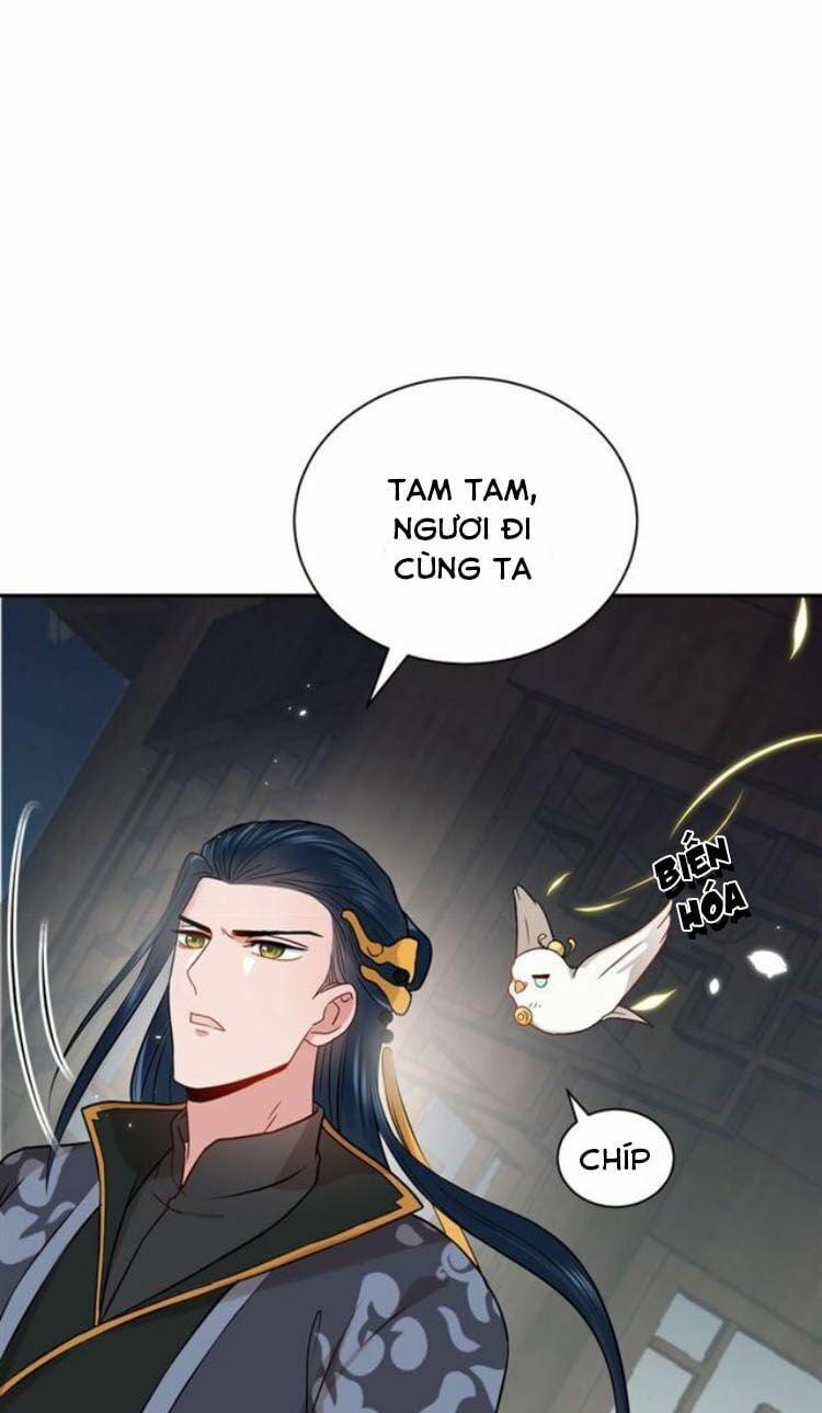 Yêu Tôn Nhất Định Phải Chịu Trách Nhiệm Với Ta 12 trang 25