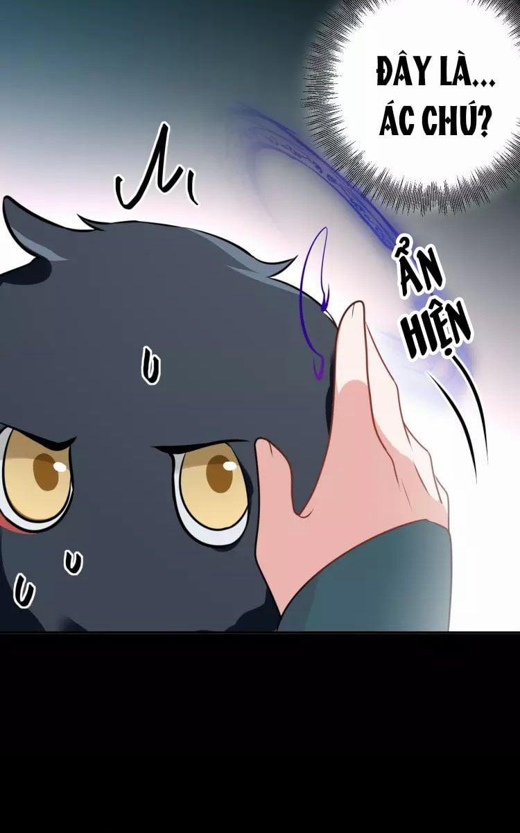 Yêu Tôn Nhất Định Phải Chịu Trách Nhiệm Với Ta 13 trang 29