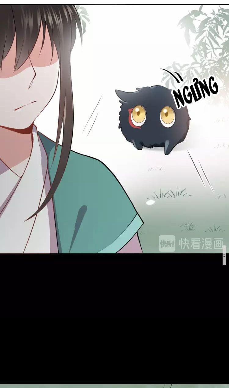 Yêu Tôn Nhất Định Phải Chịu Trách Nhiệm Với Ta 13 trang 46