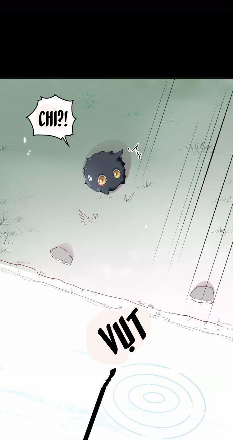 Yêu Tôn Nhất Định Phải Chịu Trách Nhiệm Với Ta 13 trang 47