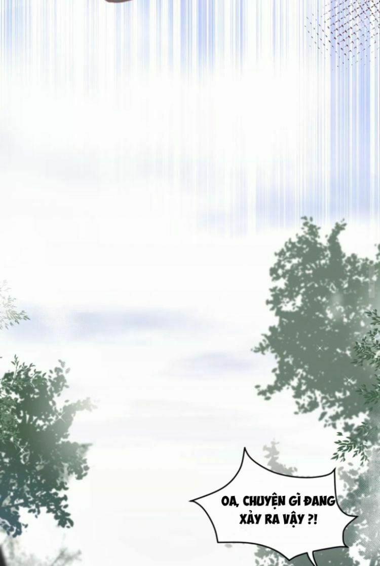 Yêu Tôn Nhất Định Phải Chịu Trách Nhiệm Với Ta 3 trang 14