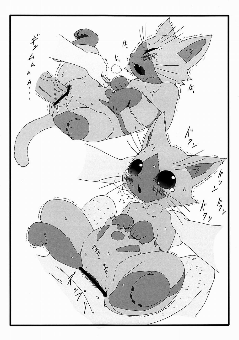 Yoru no Otomo ni Airou o (Monster Hunter) Oneshot trang 13