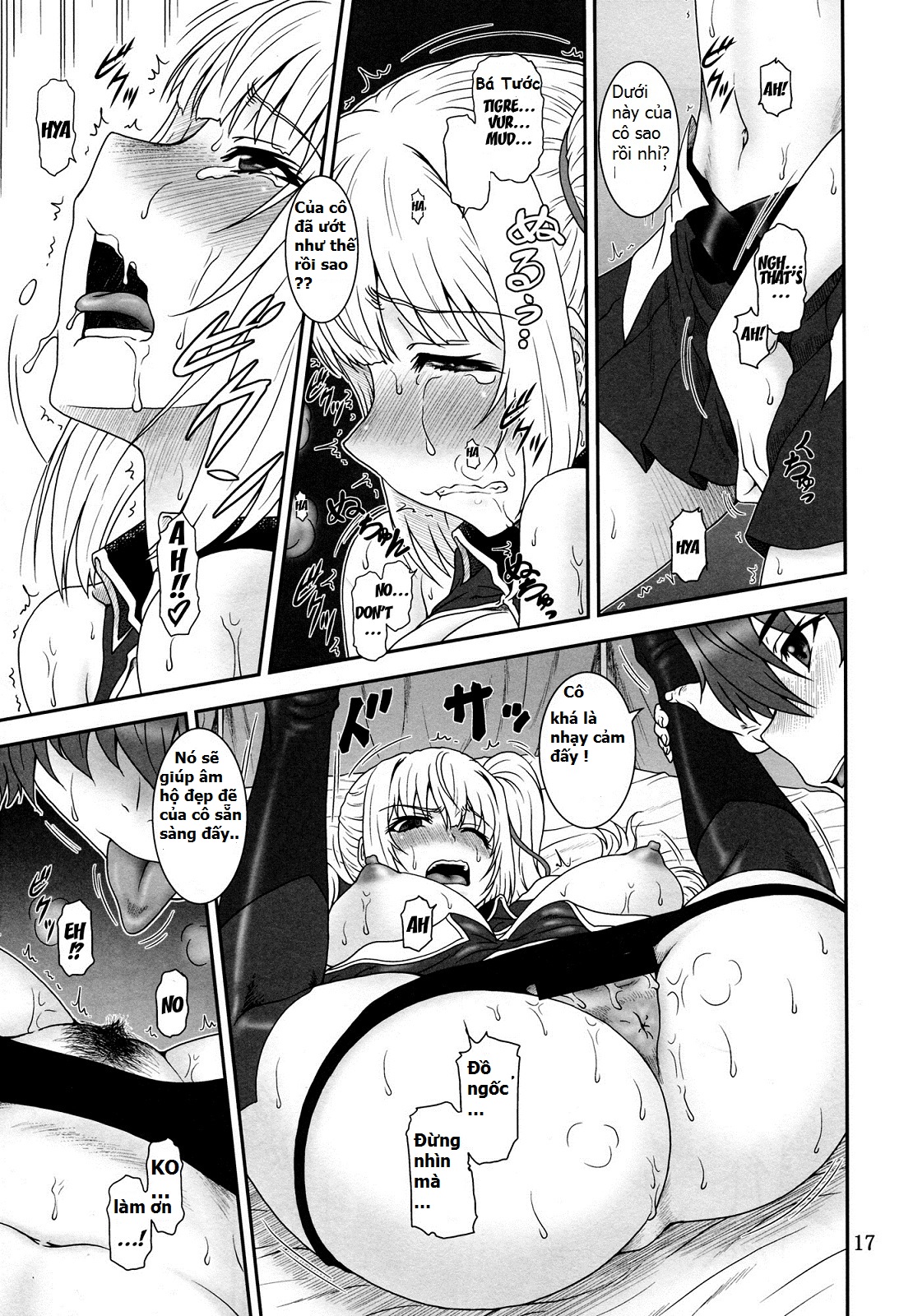 Yumi wa Fukuro ni Tachi wa Saya (Madan No Ou To Vanadis) OneShot trang 15