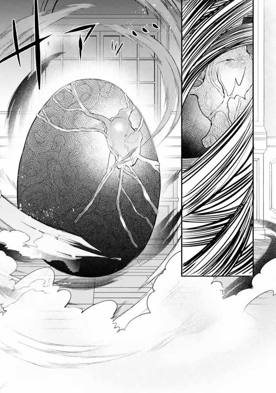 Yuusha Party Wo Tsuihou Sareta Beast Tamer, Saikyou Shuzoku Nekomimi Shojo To Deau 61.1 trang 17