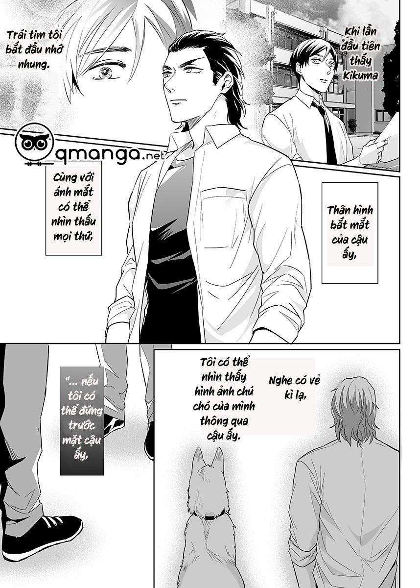 Zettai, Fukujuu Meirei 4 trang 11