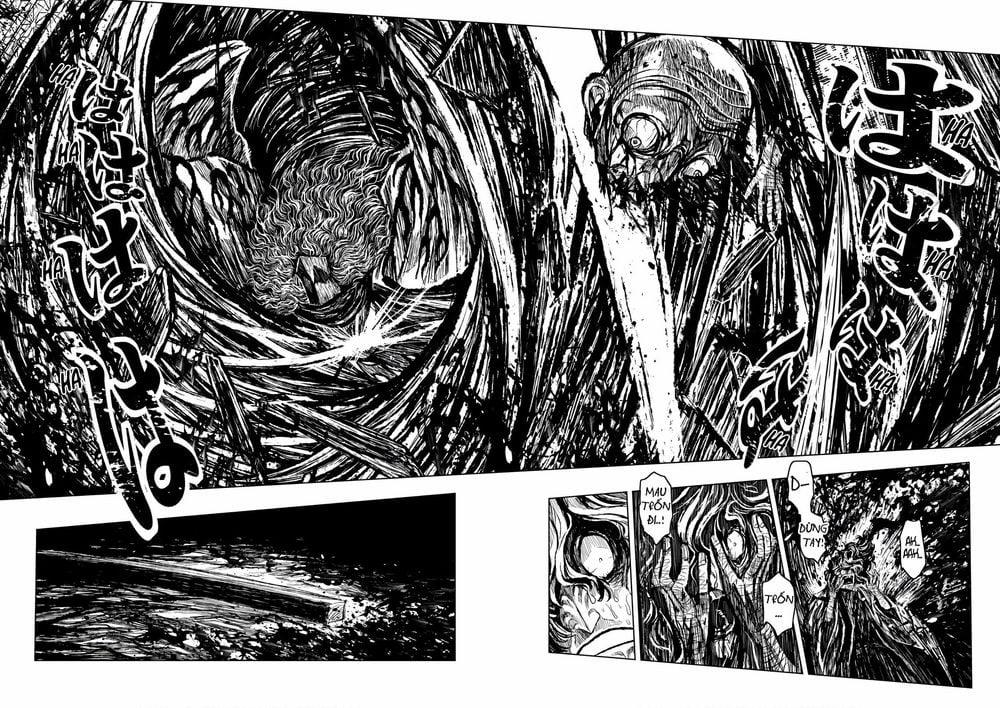 Zingnize 11 trang 17