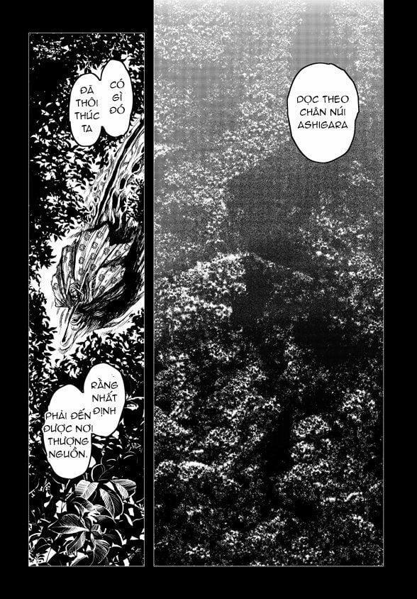 Zingnize 21 trang 18