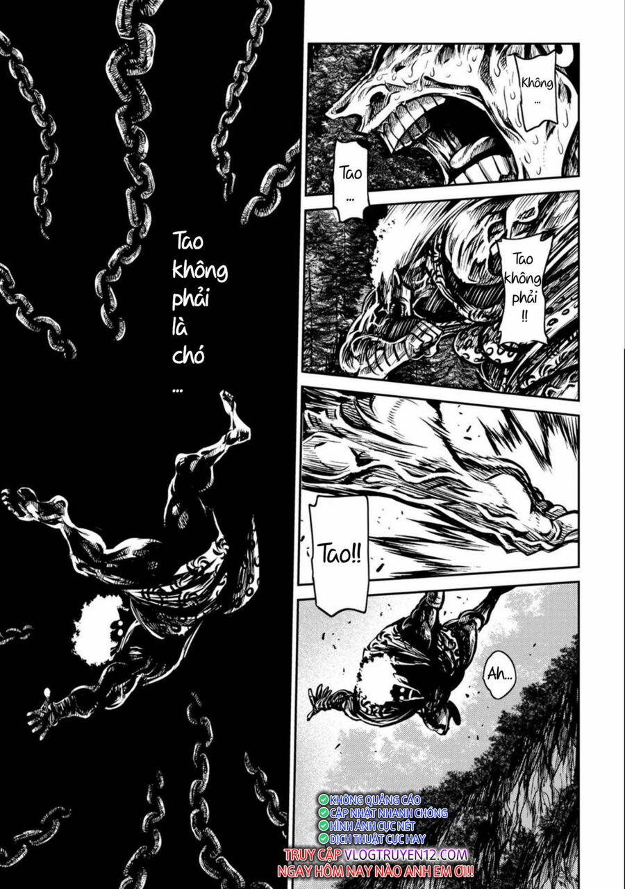 Zingnize 41 trang 27