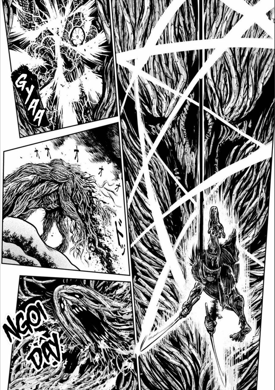 Zingnize 42 trang 16