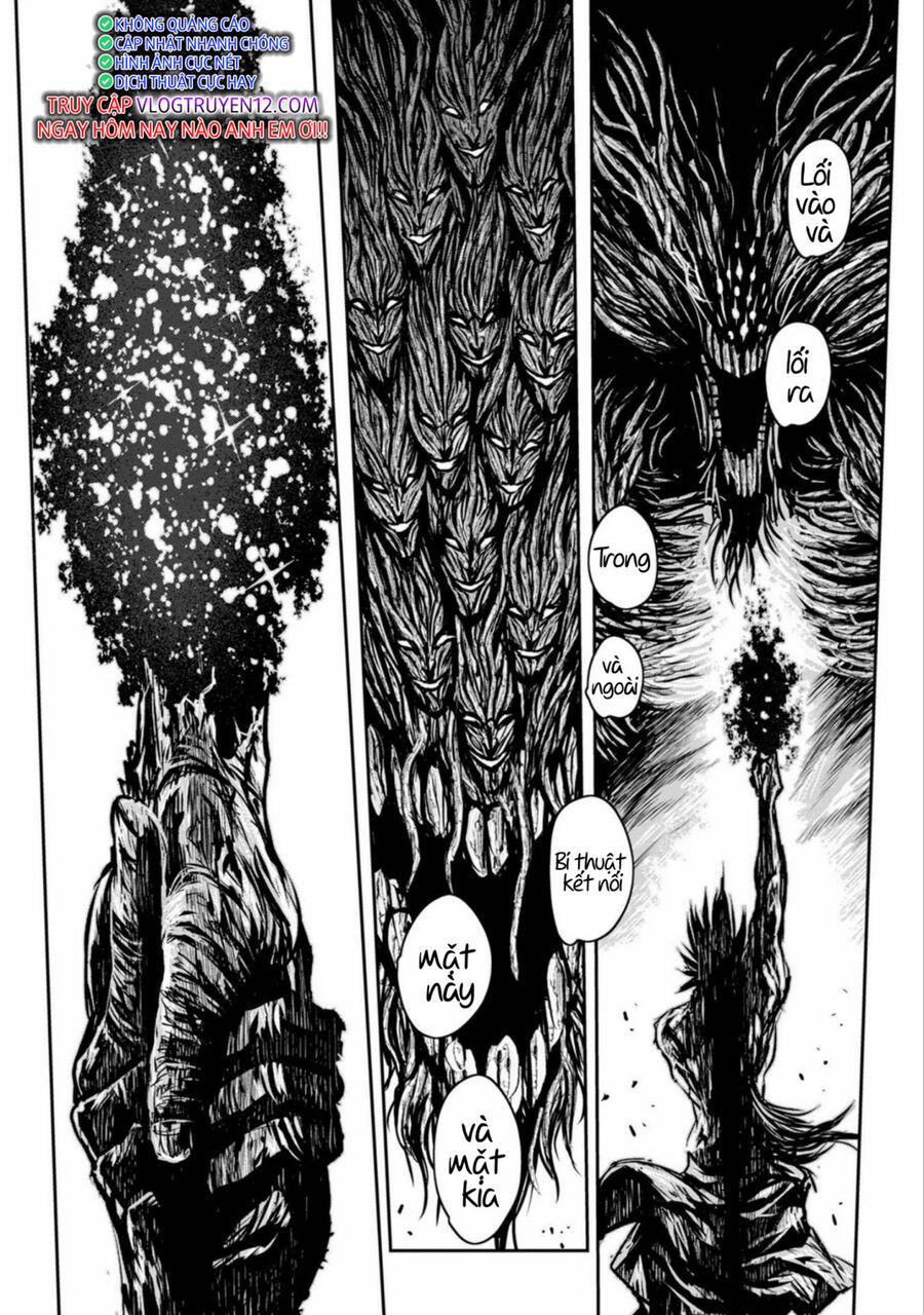 Zingnize 43 trang 13