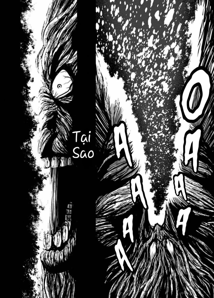 Zingnize 43 trang 23